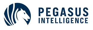 Pegasus Intelligence Ltd